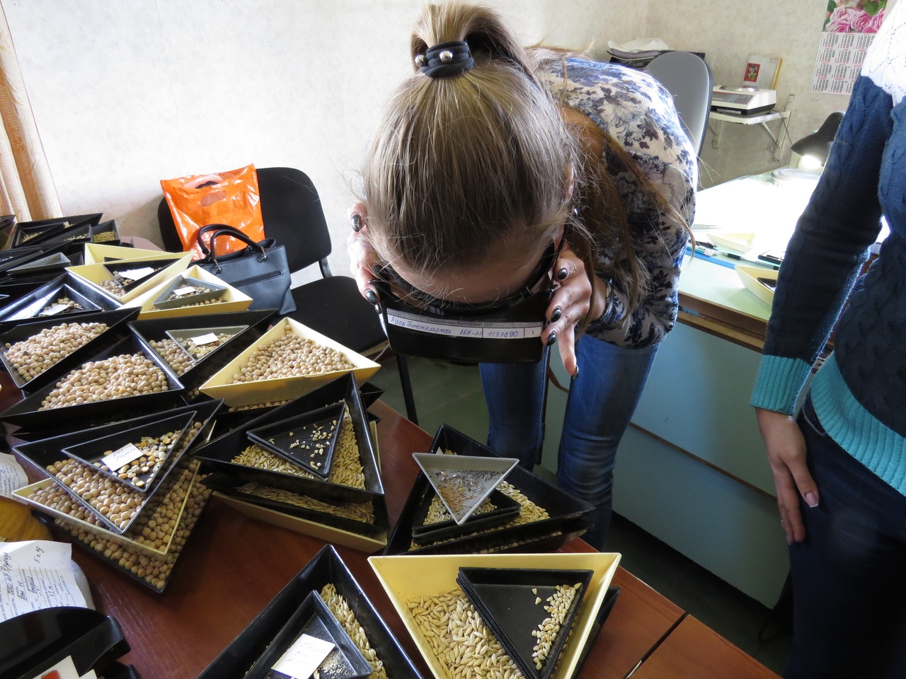 Слушатели курсов профессиональной переподготовки по направлению «Агрономия» посетили Госинспекцию Минагропромполитики и продовольствия ДНР 
