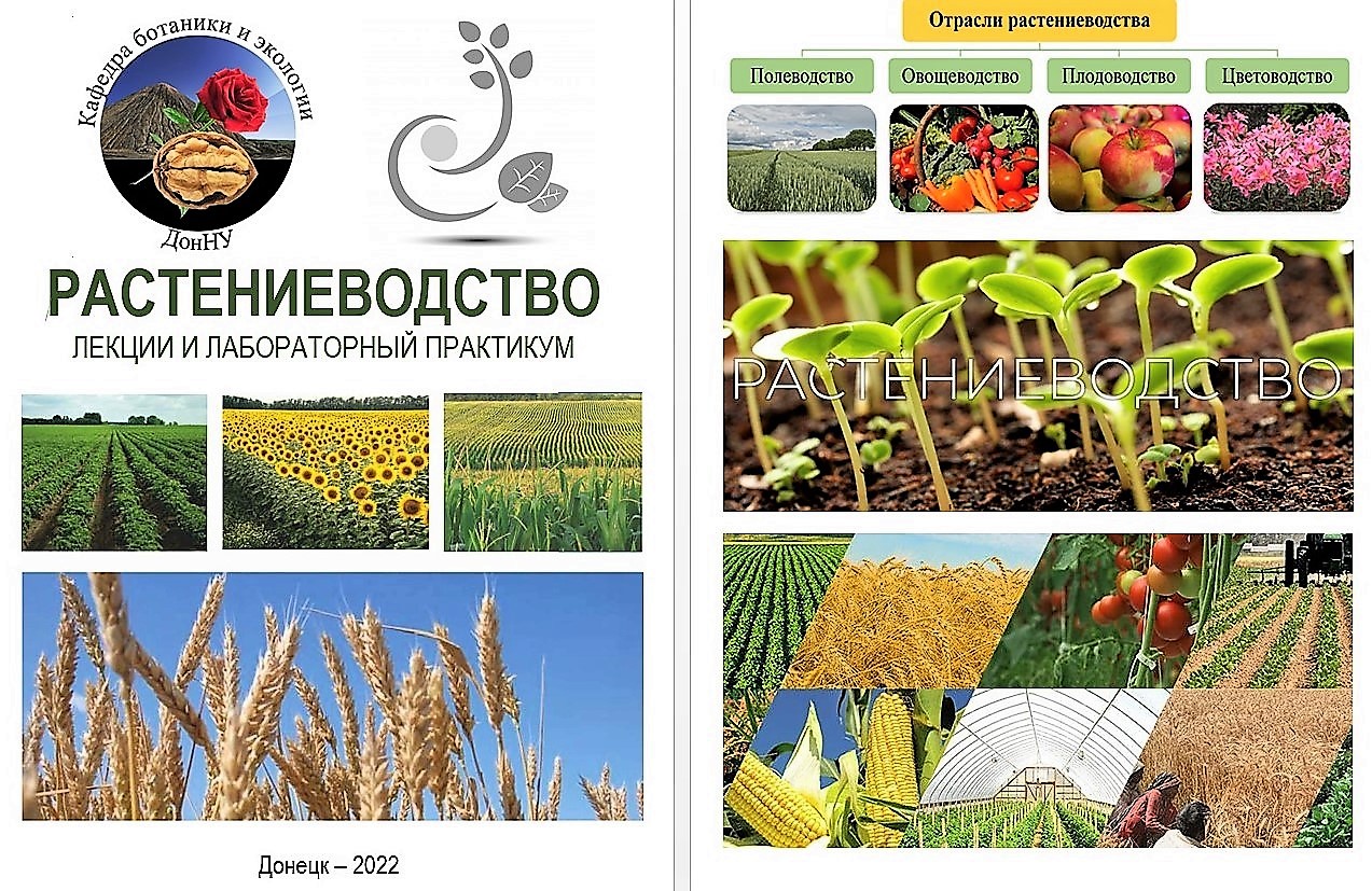 На биологическом факультете подвели итоги студенческого конкурса по растениеводству