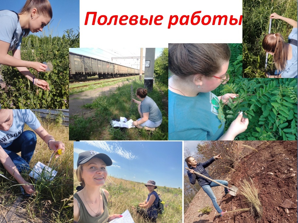 На кафедре ботаники и экологии прошел семинар «Наука – первокурснику»