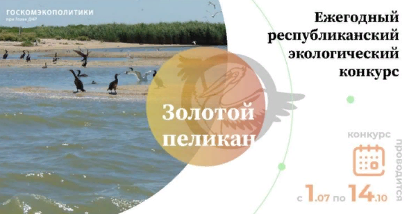 Госкомэкополитики при Главе ДНР объявляет о проведении экологического конкурса «Золотой пеликан»