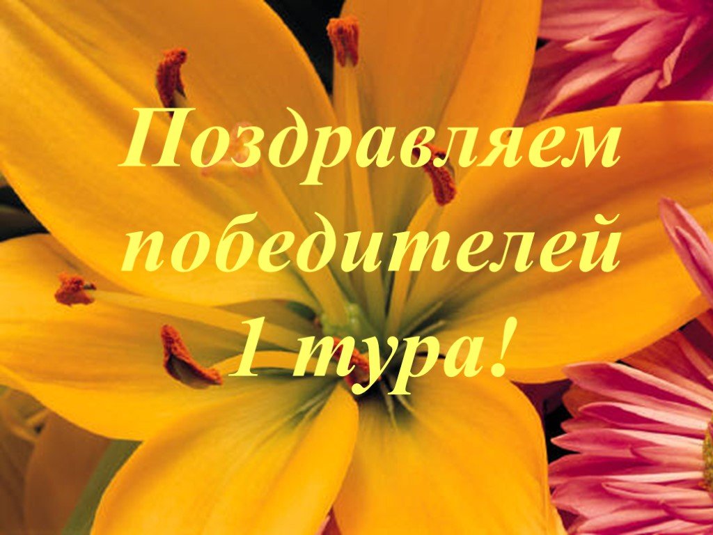На факультете иностранных языков подвели итоги заочного тура олимпиады «Конкурс перевода для старшеклассников «Мои первые переводы»